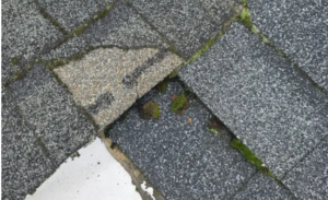 Will Missing Shingles Cause a Roof Leak? What Homeowners Should Know